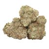 East Coast Dankz Strain