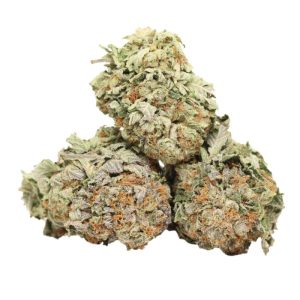 Street Guru Strain