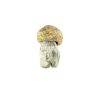 Avalanche Mushroom