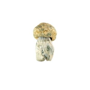 Avalanche Mushroom