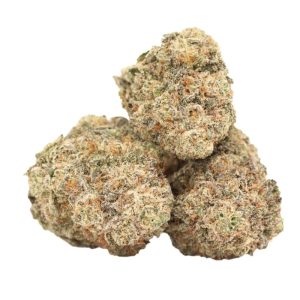 Runtz Gluntz Strain