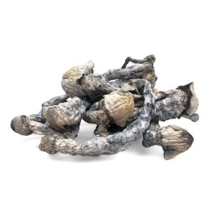 BIOFREEZE Mushrooms