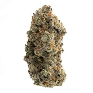 Banana Cream Pie Strain