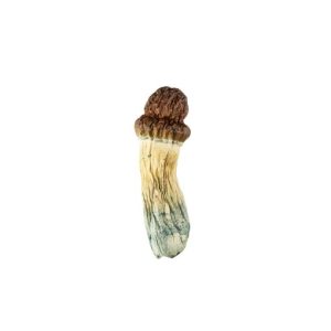 Blue Pulaski Mushroom