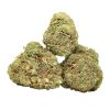 Molotov Cocktail Strain