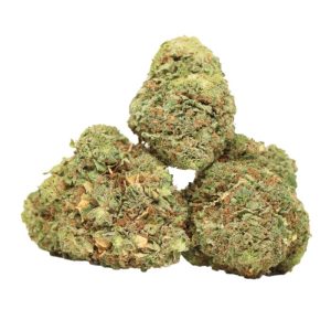Molotov Cocktail Strain