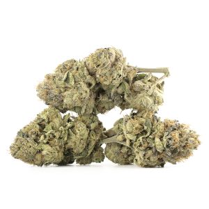 Acapulco Gold Strain