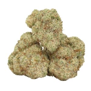 Chemo Kush Strain