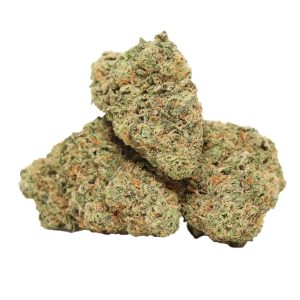Mango Mintality Strain