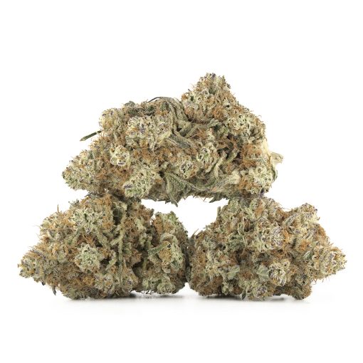 Chocolope Strain