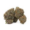Greasy Runtz Strain