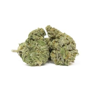 Jealousy OG Strain
