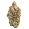 Mac Daddy Strain