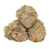 Black Domina