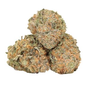 Black Domina