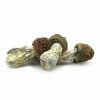Penis Envy Mushrooms