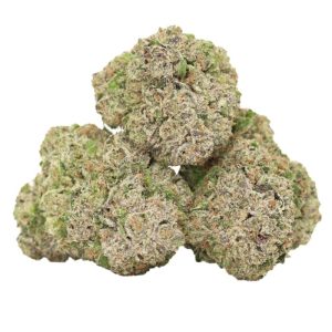 Western Light Weed Strain