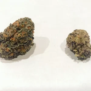 Alternative view of Purple Urkle Weed Strain