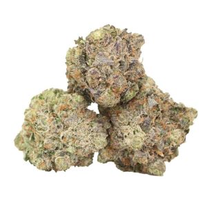 Purple Glam Kush