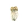 Soucoupe Volante Mushroom