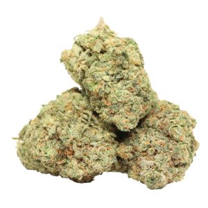 Ultra Jack Strain