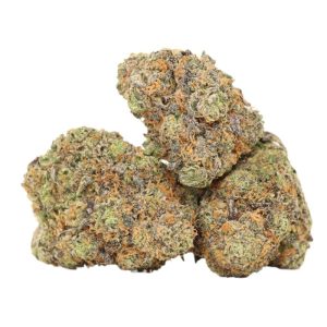 Master Kush