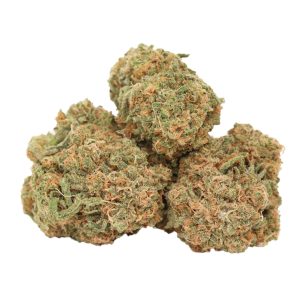 Big Bud Strain
